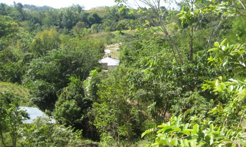 Funded Projects Source de Vie